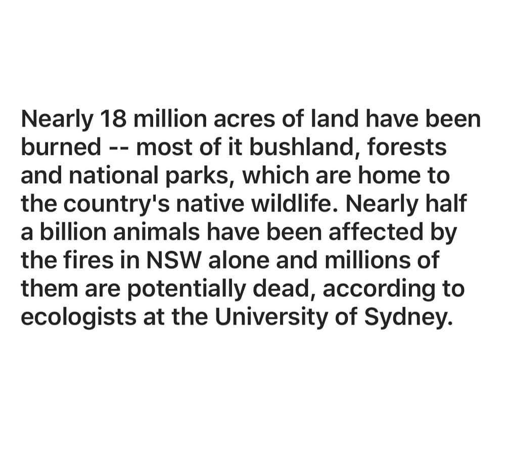 ポール・ブラックソーンさんのインスタグラム写真 - (ポール・ブラックソーンInstagram)「I’ve spent wonderful times in Australia over the years, blown away by the stunning wildlife and scenery and here it is now, going up in flames... The numbers are horrific and mind boggling, such massive devastation. My dear friend @sally_sharpe_irvin is doing her bit down under to help these poor animals. SEE LINK IN BIO & PLEASE DONATE if you can... Sally knows all the right people and I can assure you this money will be put to its best possible use... Many many thanks. We ❤️ you Australia.」1月9日 18時03分 - paulblackthorne