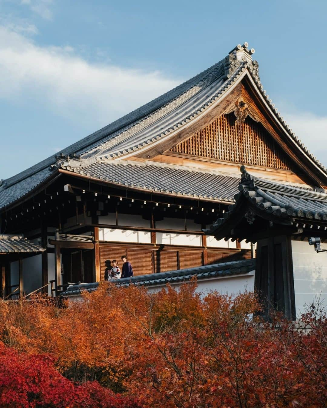 National Geographic Travelさんのインスタグラム写真 - (National Geographic TravelInstagram)「Photo by @MichaelGeorge | October and November are (in my opinion) the best times to visit Kyoto, Japan. The weather is nice and cool, and the autumn colors are starting to peak. If you venture to Tofukuji (東福寺, Tōfukuji), the temple seen here, you will see a fireworks show of fall leaves against the beautiful buildings. Spend your day visiting shrines and temples, and take a walk down the Philosopher’s Path. At night you can wander the gorgeous streets of the Gion neighborhood and end the night at River Ramen for a delicious meal. #kyoto #japan #tofukuji #kyotojapan #temple」1月9日 10時04分 - natgeotravel