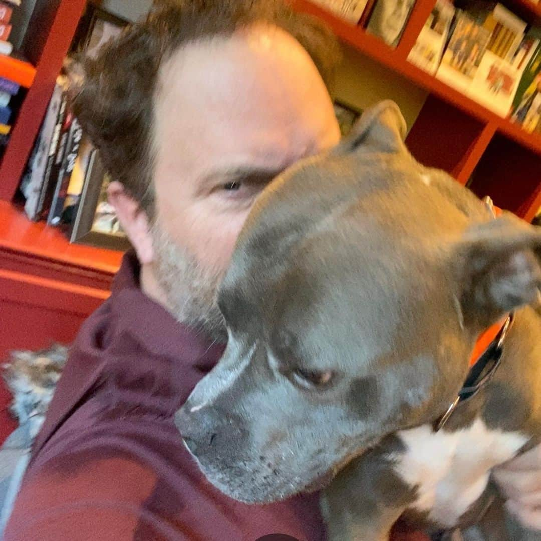 レイン・ウィルソンさんのインスタグラム写真 - (レイン・ウィルソンInstagram)「Meet Poe! Our new pittie rescue! He’s adorbs. Been in the system for years. But he’s got a great home now! Thanks to @nwdogproject @thedrunkwalrus @acat21 @rumi_rescues @northcentralshelter @HolidayReinhorn」1月9日 10時56分 - rainnwilson