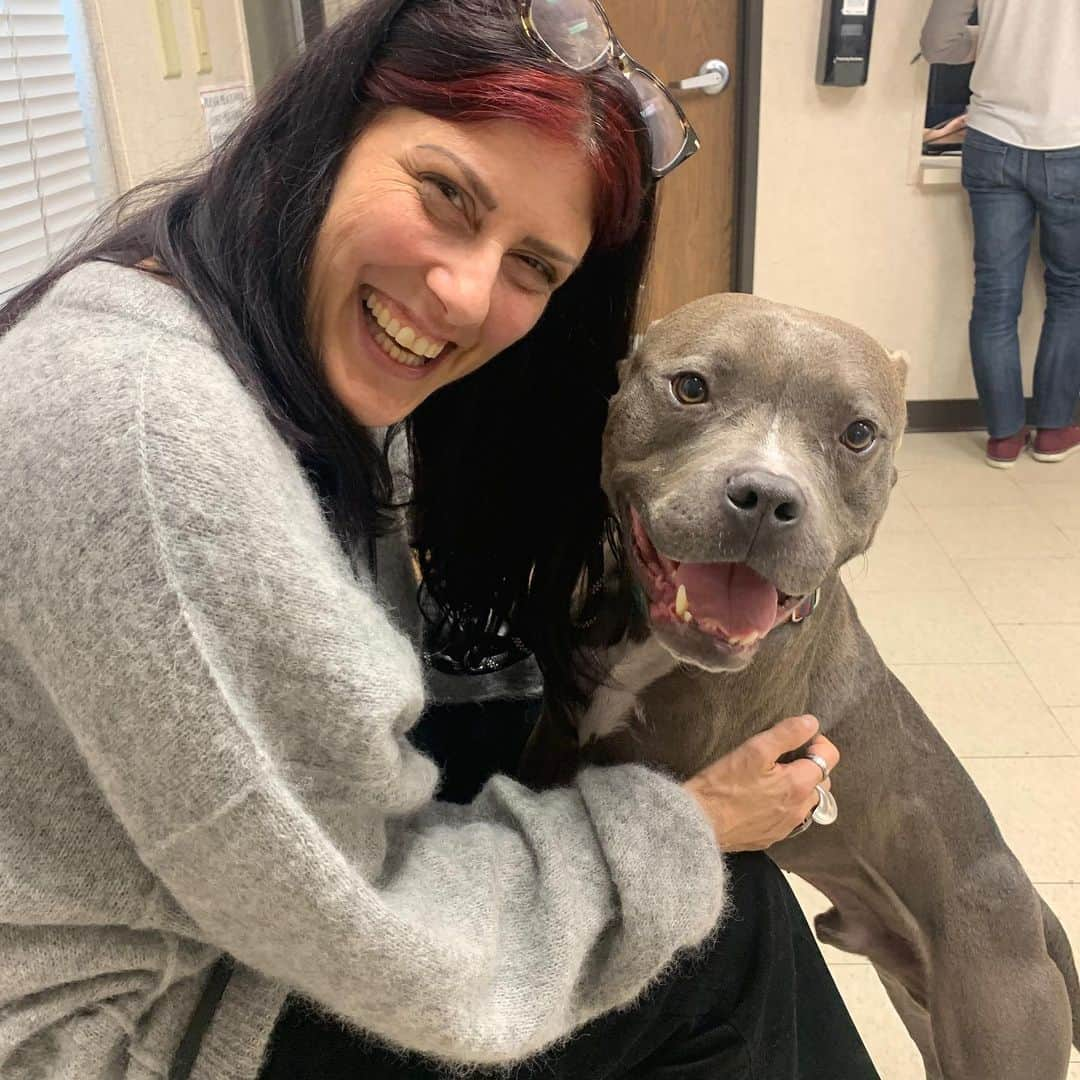 レイン・ウィルソンさんのインスタグラム写真 - (レイン・ウィルソンInstagram)「Meet Poe! Our new pittie rescue! He’s adorbs. Been in the system for years. But he’s got a great home now! Thanks to @nwdogproject @thedrunkwalrus @acat21 @rumi_rescues @northcentralshelter @HolidayReinhorn」1月9日 10時56分 - rainnwilson