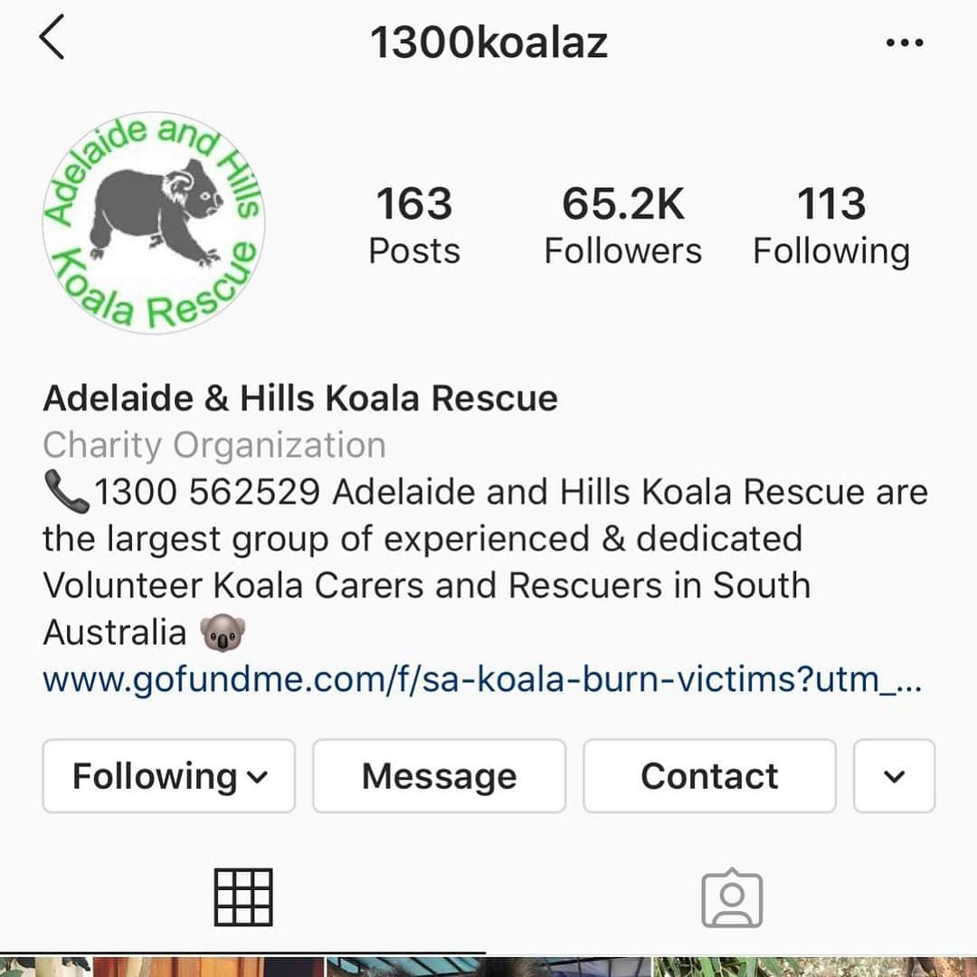 ニッキー・ベンツさんのインスタグラム写真 - (ニッキー・ベンツInstagram)「Another wonderful organization helping koalas @1300koalaz ♥️🐨 Thank you to my followers for accepting my posts about this and thank you for donating. I’ll post sexy pics tomorrow. ♥️🐨」1月9日 11時18分 - nikkibenz