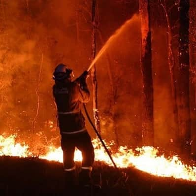 OFI Australiaさんのインスタグラム写真 - (OFI AustraliaInstagram)「Australia continues to fight the worst bushfires in history. Unprecedented temperatures & years of drought have resulted in the loss of lives and millions of hectares. To date, over 1.25 BILLION animals have been killed in these fires. The devastation is incomprehensible and there appears to be no end in sight. We don’t need to ask whether climate change is happening, instead, we need to ask: “what can we do to help?”. We can each be someone who does something to make a difference.  #prayforrain If you would like to donate, there are so many worthy charities. In particular WIRES in New South Wales and Wildlife Victoria are doing incredible work rescuing and caring for our Australian wildlife. To help them, please visit - https://www.wires.org.au/donate/emergency-fund https://www.wildlifevictoria.org.au/?view=article&id=145:helping-wildlife-during-bushfires&catid=11:wildlife-information _____________________________________ 🐒 OFIA Founder: Kobe Steele 💌 kobe@ofiaustralia.com | OFIA Patron and Ambassador: @drbirute @orangutanfoundationintl |  www.orangutanfoundation.org.au 🐒  #orangutan #orphan #rescue #rehabilitate #release #BornToBeWild #Borneo #Indonesia #CampLeakey #orangutans #savetheorangutans #sayNOtopalmoil #palmoil #deforestation #destruction #rainforest #instagood #photooftheday #environment #nature #instanature #endangeredspecies #criticallyendangered #wildlife #orangutanfoundationintl #ofi #drbirute #ofi_australia #ofia #prayforrain」1月9日 11時30分 - ofi_australia