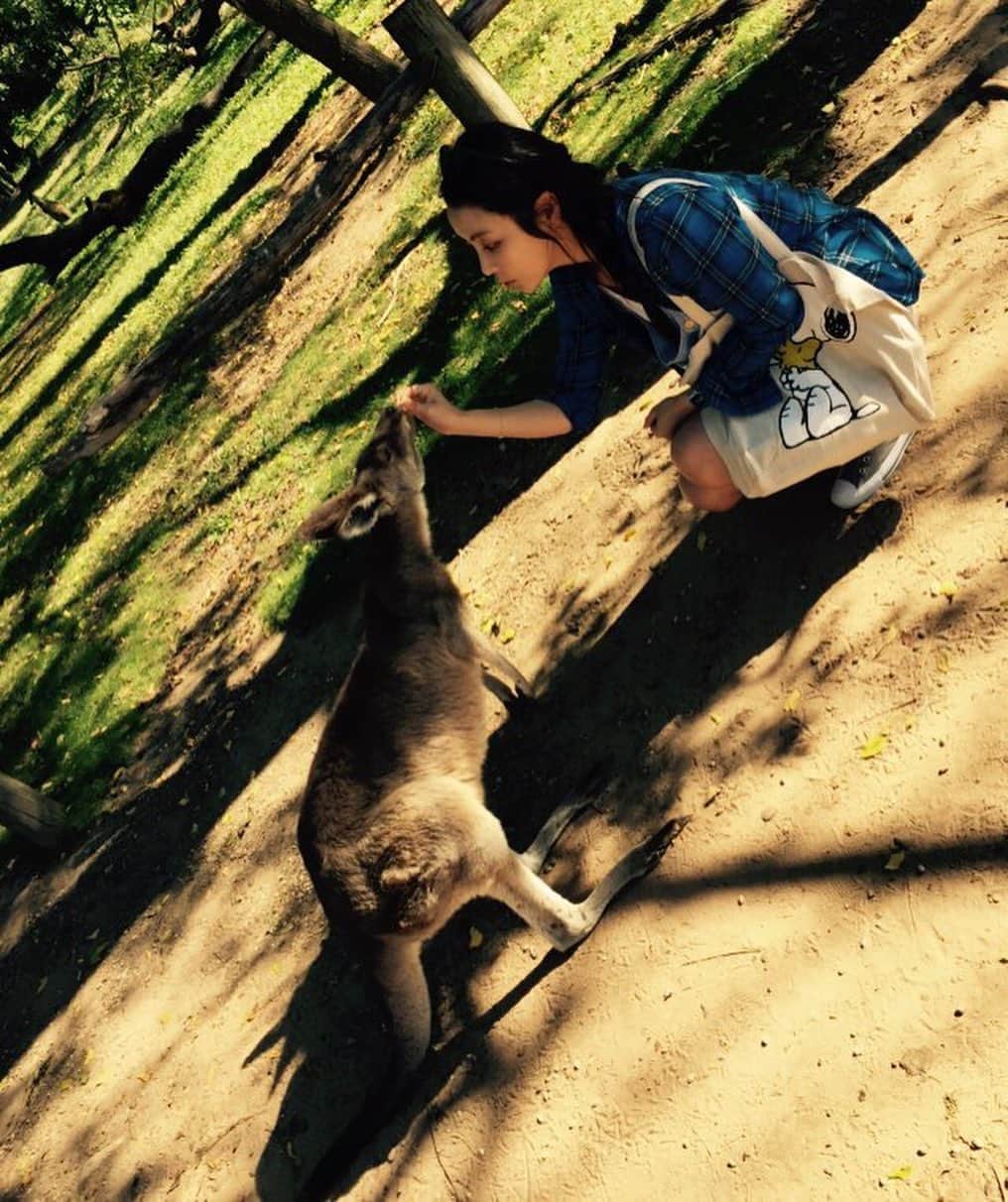 チョン・ユミのインスタグラム：「부디.🙏 #2015inAustralia#prayforaustralia」