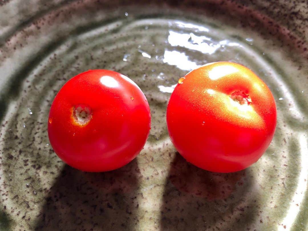 ホリエアツシさんのインスタグラム写真 - (ホリエアツシInstagram)「大きい小さいトマトが好きだ🍅 #フルティカ」1月9日 13時52分 - a.horie