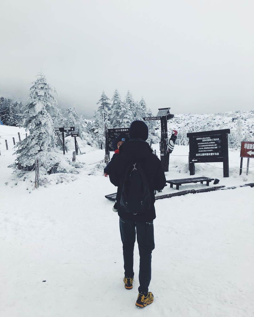 尾形沙耶香さんのインスタグラム写真 - (尾形沙耶香Instagram)「#whiteworld ❄️ #雪景色」1月9日 15時01分 - sayakaogata
