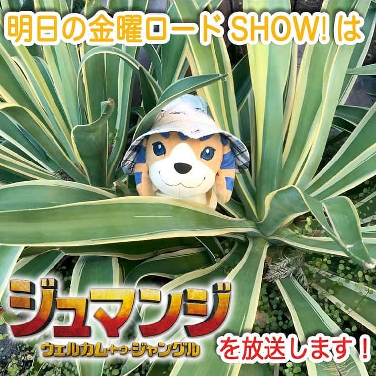 日本テレビ「金曜ロードSHOW!」のインスタグラム