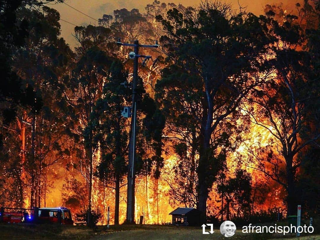 デビッド・ポーコックさんのインスタグラム写真 - (デビッド・ポーコックInstagram)「Watching bushfires tearing across the Australian landscape, claiming lives, homes, businesses and millions of hectares of ecosystems.  Amazing seeing the heroism of firies and communities in the face of such terrible conditions.  For the next fortnight all the profits from sales of our book will go to @redcrossau, @wireswildliferescue and @australianwildlifeconservancy.  You can get your copy on my website - link in my bio.」1月9日 15時12分 - davidpocock