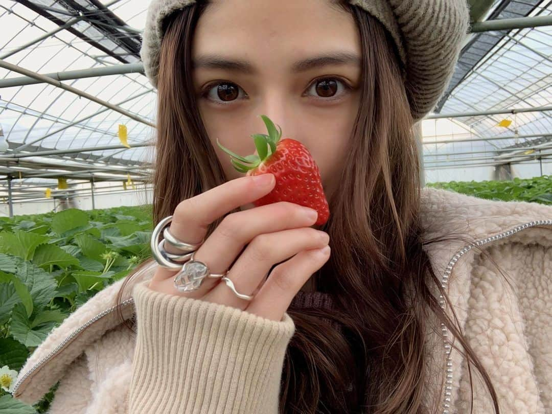 高橋和美さんのインスタグラム写真 - (高橋和美Instagram)「. 今年も家族でいちご狩り🍓 #山梨観光#いちご狩り#しまむら農園#strawberrypicking」1月9日 15時15分 - iam_____k_____