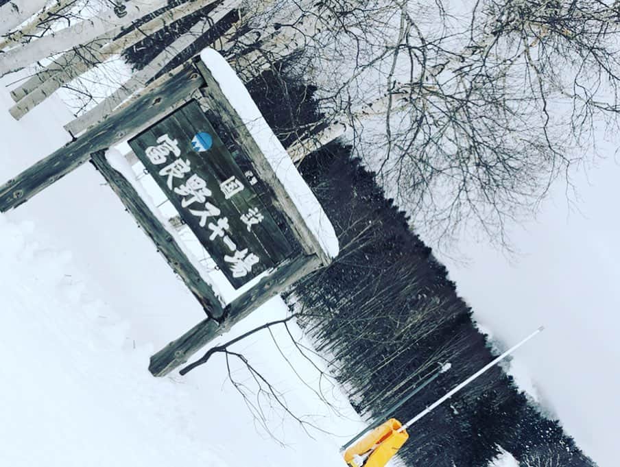 川上椋輔さんのインスタグラム写真 - (川上椋輔Instagram)「『 #富良野スキー場 』 ﻿ 富良野ならではのパウダースノーを満喫！ ﻿ 初心者向けの練習場も今年から設けられているので安心 🎿 ﻿ ﻿ 『 #ニングルテラス 』﻿ 新富良野プリンスホテルに隣接した森の中の「ロマンチック ショッピングエリア」👜﻿ 多種多様な手作りアート作品はお土産にもおすすめ 😃 ﻿ ﻿ ﻿ 『 #ふらの歓寒村 』﻿ 犬ぞり体験やスノーチュービングは、光り輝くイルミネーションのアーチをくぐりながら雪上を滑る人気アクティビティ🙌﻿ ﻿ 日時(予定): 2019/12/21(土)〜2020/3/10日(火)﻿ 時間: 午後 4:00〜8:00(最終受付7:30P.M.) ﻿ ﻿ ﻿ 『 #しばれるっしょナイトツアー 』﻿ 日が沈み暗くなってからロープウェイで頂上へ！🏔﻿ 極寒の中だからこそ出来る面白実験を体験！﻿ 大人から子供まで楽しめます💡﻿ ﻿ 詳しくは 明日放送の #みんテレ にて！📺 ﻿ ﻿ ﻿ #富良野プリンスホテル ﻿ #北海道discover  #富良野観光﻿ #北海道旅行 #gopro ﻿ #写真好きな人と繋がりたい﻿ #北海道好きな人と繋がりたい﻿ #カワカミ旅行記」1月9日 15時15分 - kawakami_doto