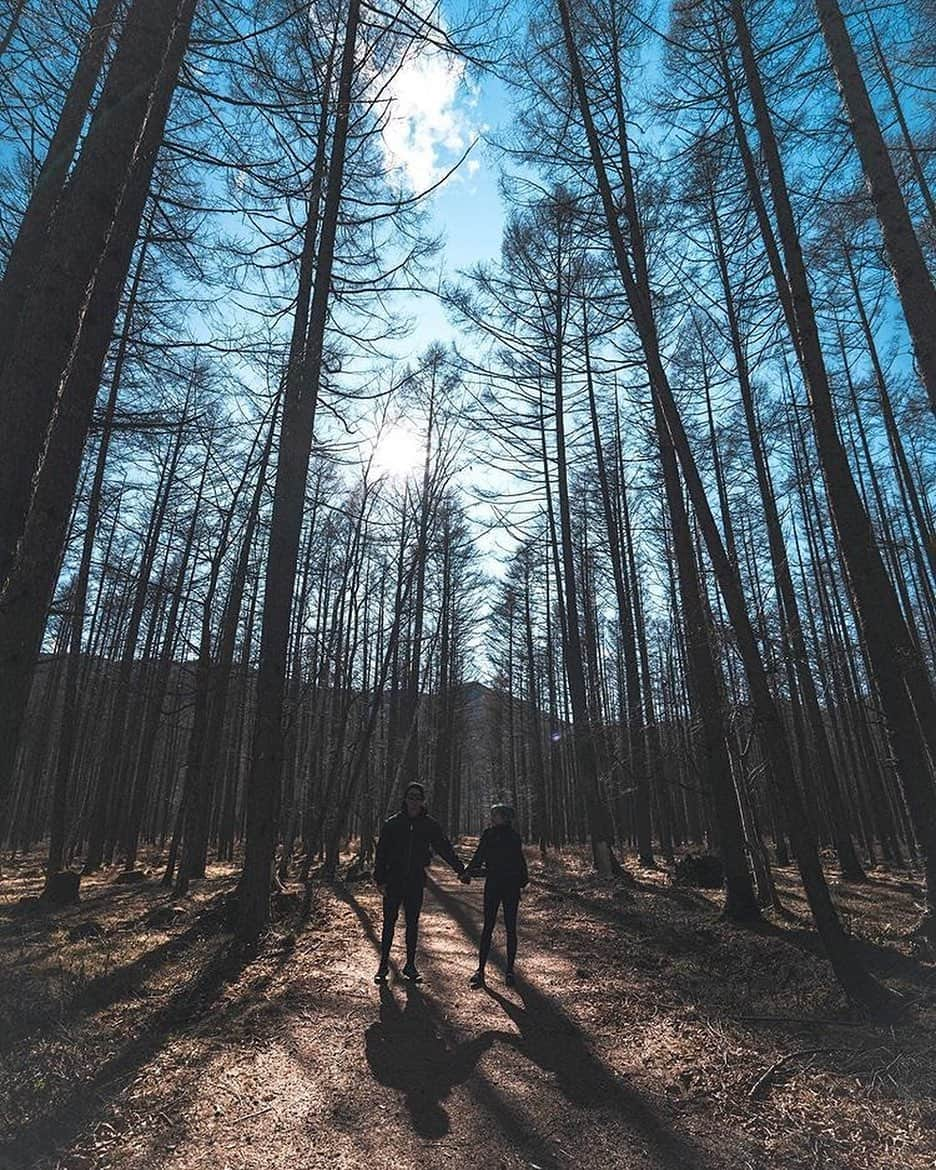 TOBU RAILWAY（東武鉄道）さんのインスタグラム写真 - (TOBU RAILWAY（東武鉄道）Instagram)「. . 🚩NIKKO - TOCHIGI 🚩日光 - 栃木 . . . REPOST @currently.hannah . I would’ve LOVED to see this place in peak autumn but unfortunately we were a bit late this time. Taken from when @metron_city and I explored Nikko near the start of winter and I nearly froze (I’m being dramatic) but also, question: do Americans ever think it’s weird that they call Autumn, Fall? Fall is a verb. Fight me. •  #ad #tobu_japan_trip @tobu_japan_trip #wondermore #soft_vision #happyadventuring #bealpine #thewonderco #shetravels #mthrworld #dscvr_mood #thewonderco #japan_vacations #visitjapanau @visitjapanau #japanrevealed #jpdaily #japandailies #explorejpn #currentlyhannah @japan.vacations . #tobujapantrip#nikko#tochigi」1月9日 15時37分 - tobu_japan_trip