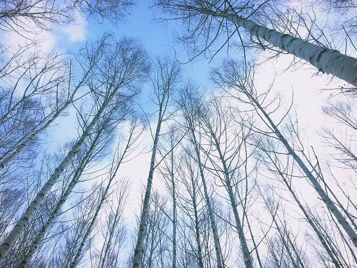 ミナ さんのインスタグラム写真 - (ミナ Instagram)「2016, 겨울 강원도 - 이 때 사진은 올려도 올려도 끝이 없네 신기한 건 다시 꺼내 볼 때마다 좋은 사진이 달라진다📷✨」1月9日 15時39分 - blossomh_