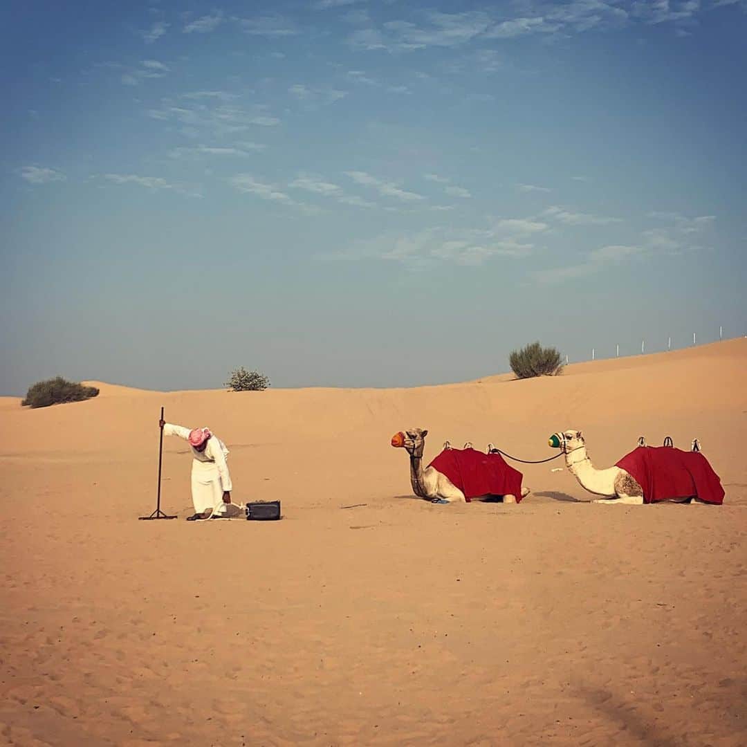菅原紗由理のインスタグラム：「🐫🐪」