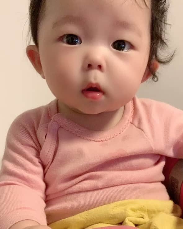 本田しおりのインスタグラム：「琥珀さん 生まれて5ヶ月半」