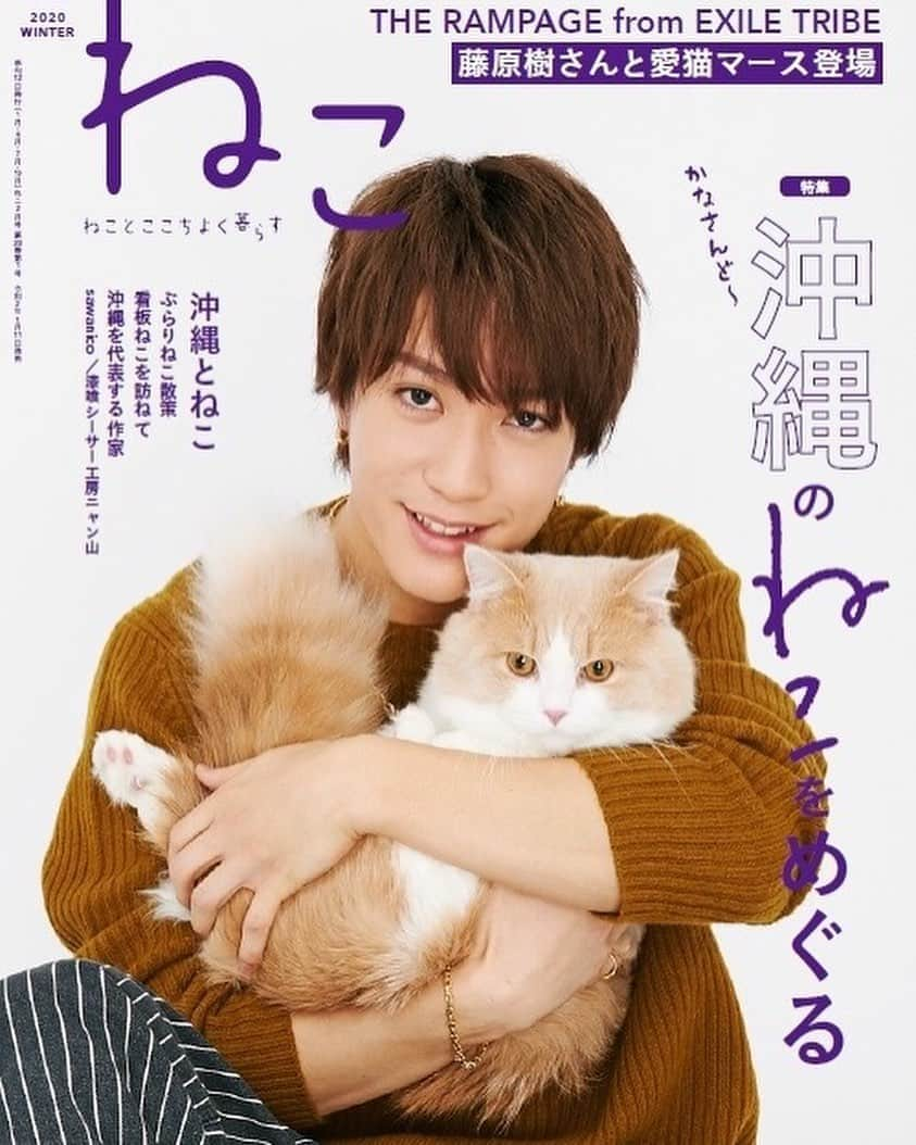 藤原樹さんのインスタグラム写真 - (藤原樹Instagram)「・ 1/11発売 雑誌「ねこ 」vol.113  マースと表紙をさせて頂きました✨✨ 一つ夢が叶いました🐈  初めての表紙がマースと一緒なんて幸せです！（笑）  マースは初めての撮影という事もあり、 緊張して部屋の隅から動けずに固まっていましたが、スタッフの皆様の猫愛のおかげで凄く良い写真が出来上がりました🙏✨ ・ ・ 皆さん是非チェックお願いします✨  #neko_magazine #ねこ#cat#マンチカン#マース」1月9日 18時30分 - itsuki_fujiwara_official