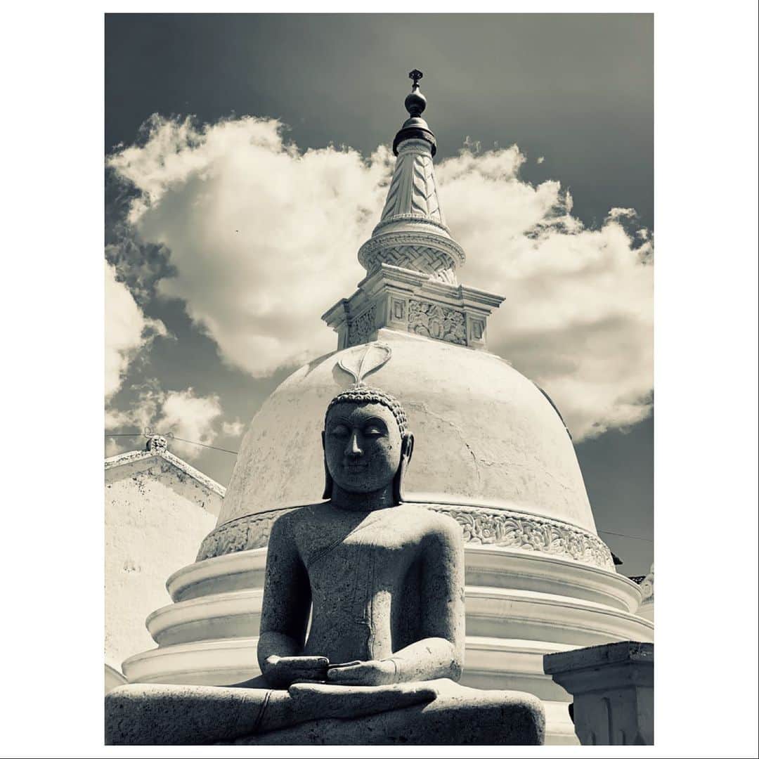 マット・ディロンさんのインスタグラム写真 - (マット・ディロンInstagram)「Buddhism in Sri Lanka. #srilanka #theravadabuddhism  #theravada #buddhism #galle #siddhartha #lotusflower @robertamastromichele @janicenopvichai」1月9日 20時28分 - mattdillon