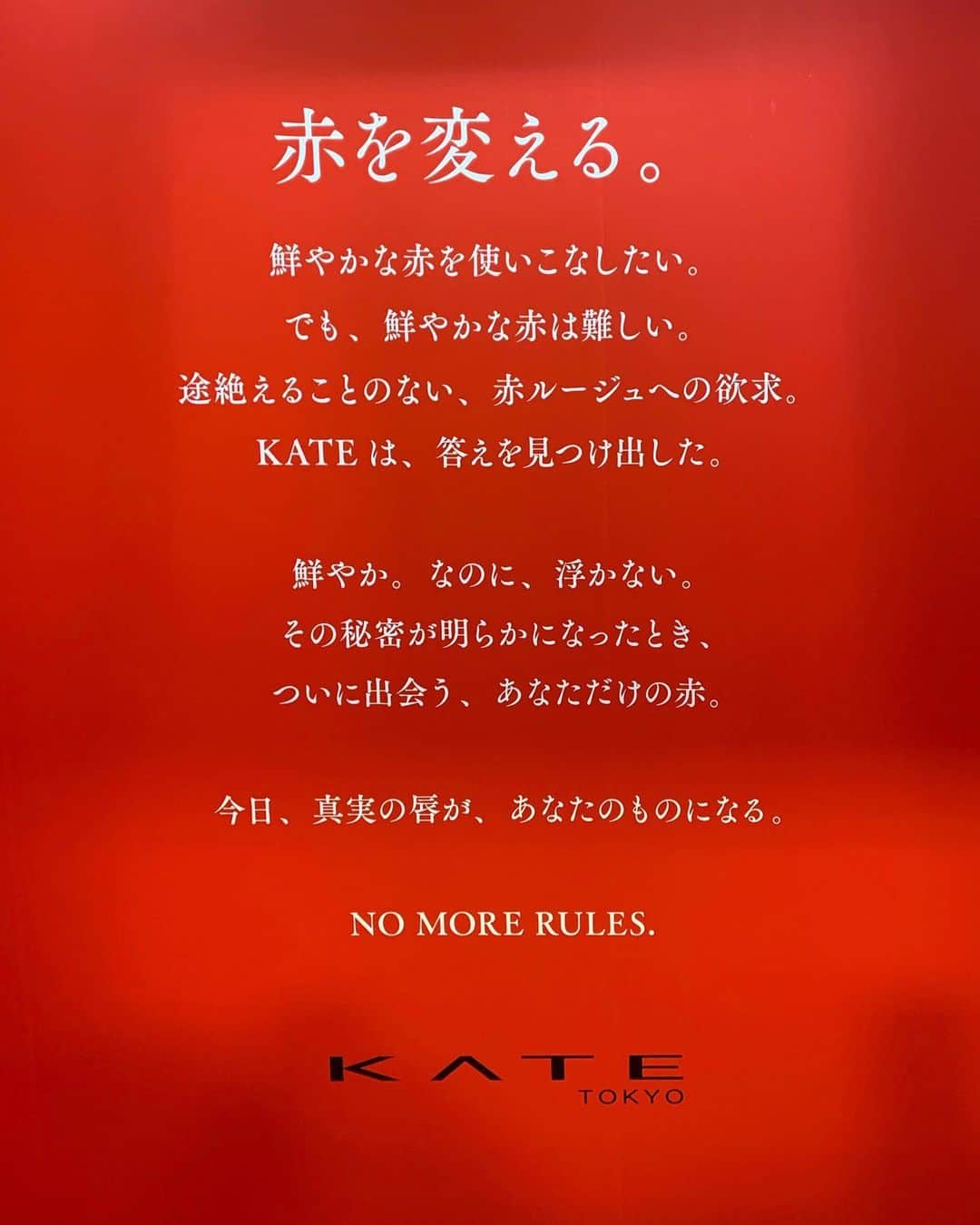 吉田南歩さんのインスタグラム写真 - (吉田南歩Instagram)「京都のしまだいギャラリーで 1/9〜1/12 (11:00〜20:00)までやってるKATEのpopup にご招待して頂いて行ってきたよ❤️ ㅤㅤㅤㅤㅤㅤㅤㅤㅤㅤㅤㅤㅤ レッドヌードルージュは2/1から 店舗限定で先行発売されてるよ💋 ㅤㅤㅤㅤㅤㅤㅤㅤㅤㅤㅤㅤㅤ このリップは赤い下地を塗ってからヌードカラーを上から重ねるのが特徴なんだけど そのままの色を楽しみたい時は赤のみでも 使えるし、ヌードカラーをのせるとまろやかな色になるから赤リップに挑戦したいけど不安、、って人でもすっごい使いやすい！🥰 ㅤㅤㅤㅤㅤㅤㅤㅤㅤㅤㅤㅤㅤ ちなみに私は04を塗ってもらいました❤︎ だいたい赤8:ヌードカラー2 くらいの 割合で重ねてもらったかな？ ㅤㅤㅤㅤㅤㅤㅤㅤㅤㅤㅤㅤㅤ ㅤㅤㅤㅤㅤㅤㅤㅤㅤㅤㅤㅤㅤ 気になる方はぜひpopup行ってみてね〜👼ㅤㅤ #レッドヌードルージュ #ケイト #PR」1月9日 21時00分 - nanaho_yoshida