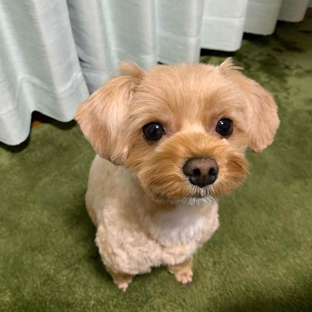 光永祐也さんのインスタグラム写真 - (光永祐也Instagram)「大変遅くなりました、新年明けましておめでとうございます⛩ 年末、沢山の方々とサッカーをさせて頂く機会があり、改めてサッカーの楽しさを実感する事ができました！ その気持ちを忘れず2020年頑張っていきたいと思います！ 今年も宜しくお願いします！ #若松サッカー大会 #福岡ユース出身 #ペナスタフットサル大会 #ニコ初め #2020年 #ザスパクサツ群馬 #今年も宜しくお願いします」1月9日 21時07分 - mitsunaga3275