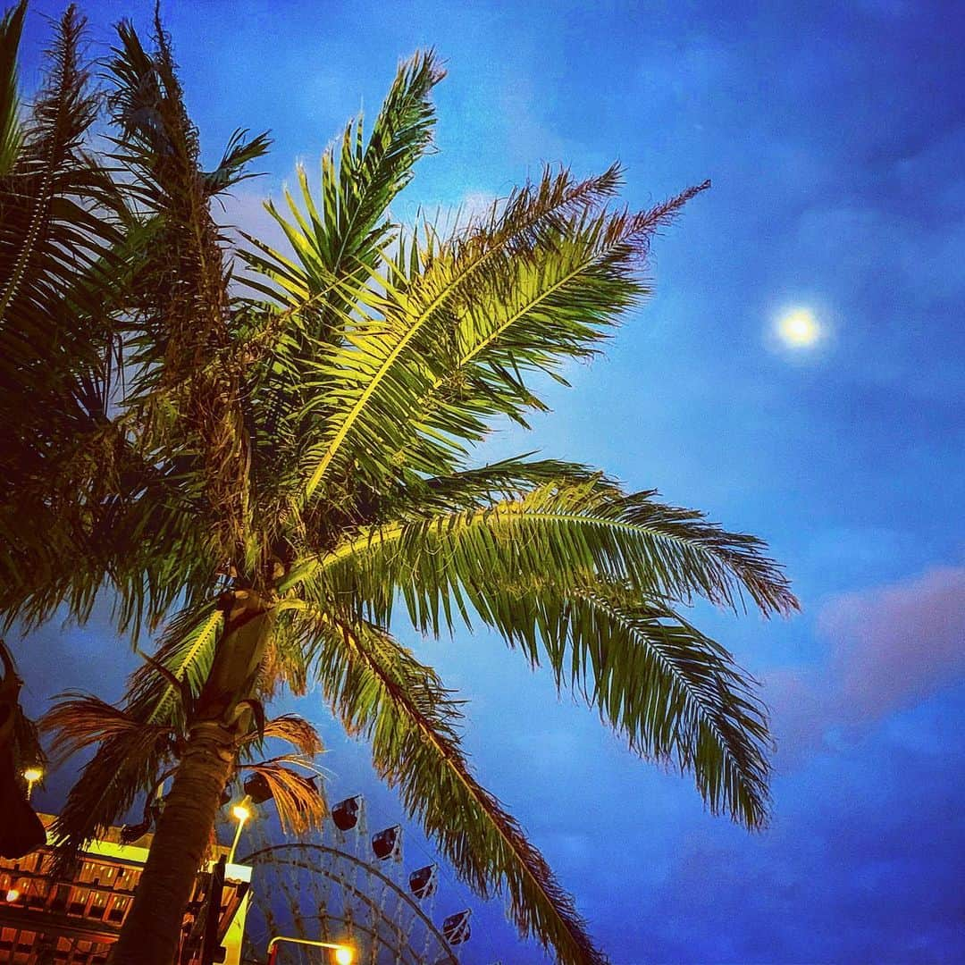 福田朋夏さんのインスタグラム写真 - (福田朋夏Instagram)「It’s almost a full moon 🌕✨✨✨✨もうすぐ満月🌕　 #okinawa #fullmoon #almost」1月9日 21時12分 - tomoka_fukuda