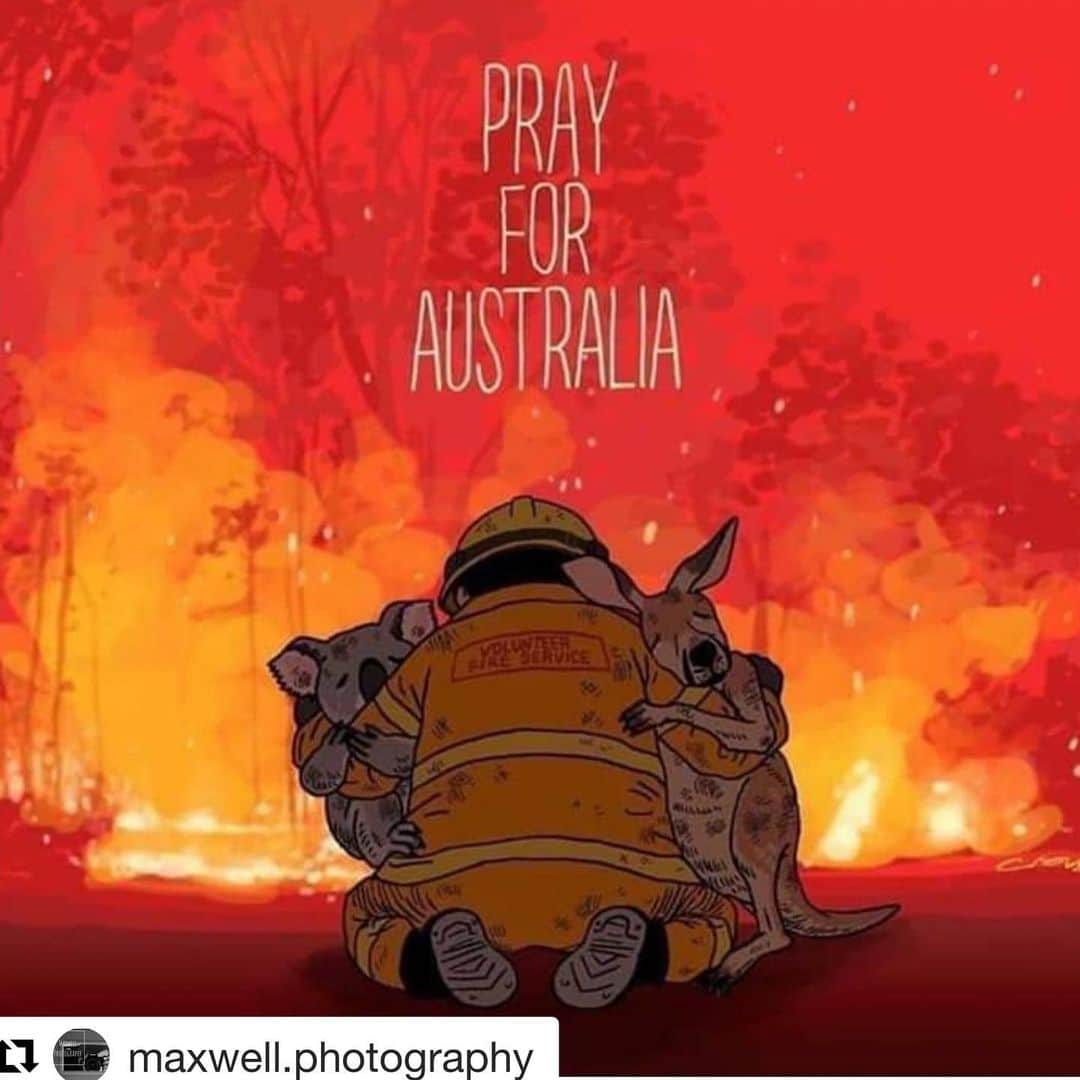 澤田友美さんのインスタグラム写真 - (澤田友美Instagram)「#Repost @maxwell.photography with @get_repost ・・・ P R A Y  F O R  A U S T R A L I A🇦🇺 > 23 peoples were dead > Approx.500 million animals dead > 8,000 koalas were dead > Over 5.5 million hectares burned (the size of Belgium) > Fire perimeter more than 10,000 miles long > More than 1400 homes destroyed > Thousands of other buildings & structures destroyed > An as yet uncalculated number damaged > 10 million people or more breathing in toxic levels of bushfire smoke > Australia’s largest ever evacuation under way >Third State of Emergency declared for New South Wales this fire season State of Disaster declared for the state of Victoria. >Thousands of people trapped in towns that need to be evacuated > Thousands of people on beaches sheltering from intense heat, ash and burning embers.  How can you help? Share or donate:  #austredcross #redcrossaustralia #savetheanimals #wireswildliferescue #Australiafires #savekoalas #australianfirefighters #animalsaustralia #climatechange #wwfaustralia #AmazonFires #amazonianforest #bushfires #342amazonia #wwfbrasil #Koala #greenpeacebrasil #cerradovivo #sosmataatlantica #nationalgeographic #prayforaustralia🇦🇺 #newsouthwales #victoriabushfires」1月9日 21時15分 - tomomi__sawada