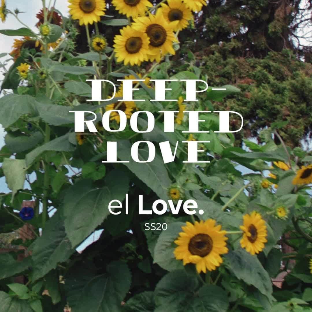 デシグアルのインスタグラム：「Deep Rooted Love You have to escape to find it. Because this kind of #love is one of those hidden in the #countryside, between #orange trees and #sunflowers. It is that love that if taken care of... it will become a “for life”. It already has some followers. Some captivated.」