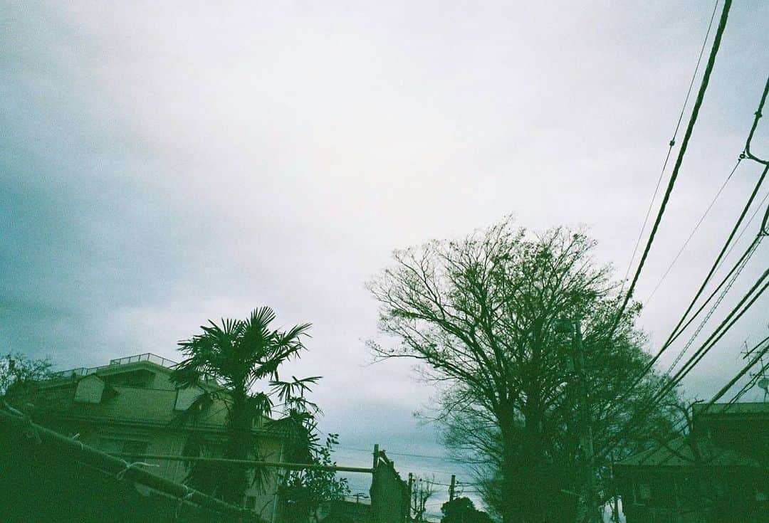 吉田友利恵さんのインスタグラム写真 - (吉田友利恵Instagram)「tiarazoom🎞 会う人会う人を撮る事にした◡̈ また持ち歩く😌 ふとした瞬間も沢山おさめたい！ . ティアラズーム好き。 あったかいもつめたいも綺麗に残してくれるなぁ〜◡̈」1月9日 22時16分 - _yurieyoshida_