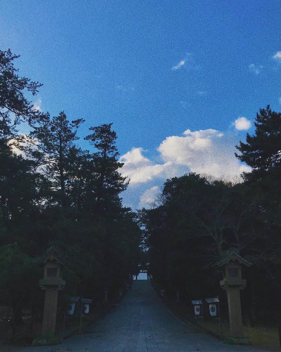 小林ようのインスタグラム：「今年最初の旅行は島根へ。 . #japantrip #solotravel #solotraveler #shimane #izumo #shrine #iphonefoto #여행 #일본 #一人旅 #一人旅女子 #島根 #出雲大社 #小林寫眞館」