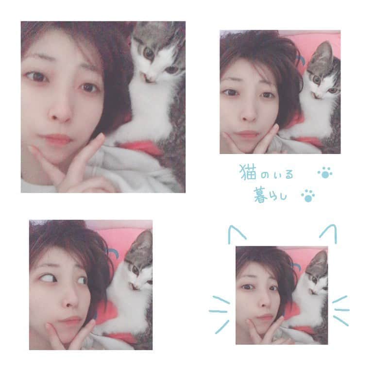 佐藤梨菜のインスタグラム：「🐈🐾 #猫のいる暮らし  #ねこすたぐらむ  #にゃんだふるらいふ #냥스타그램 #하니 #귀엽다」