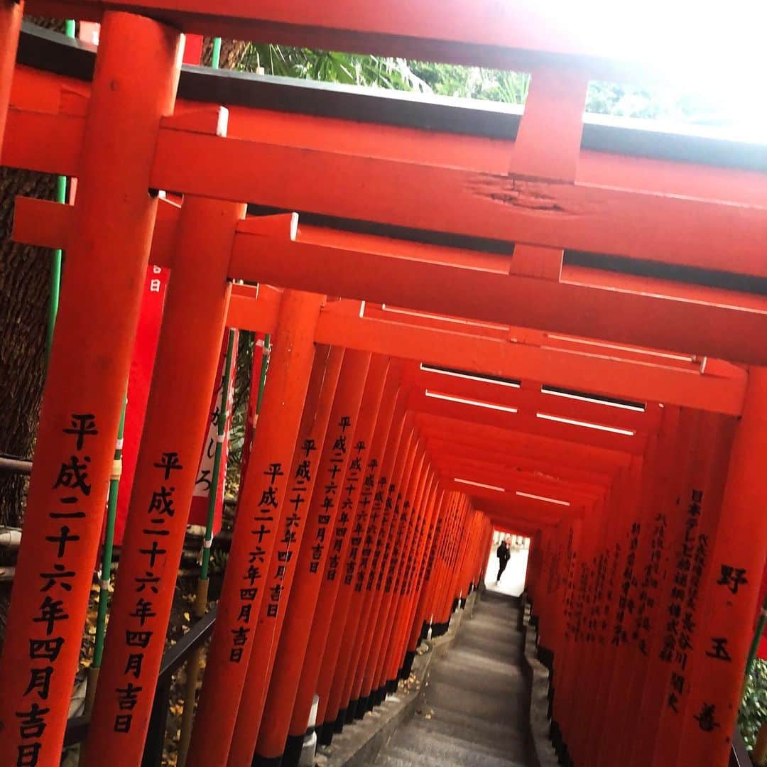 高見奈央さんのインスタグラム写真 - (高見奈央Instagram)「. . 神社めぐり⛩ 個性的な神社が多くて 楽しかったなー . #神社　#初詣　#日枝神社」1月9日 23時13分 - nao_takami1128
