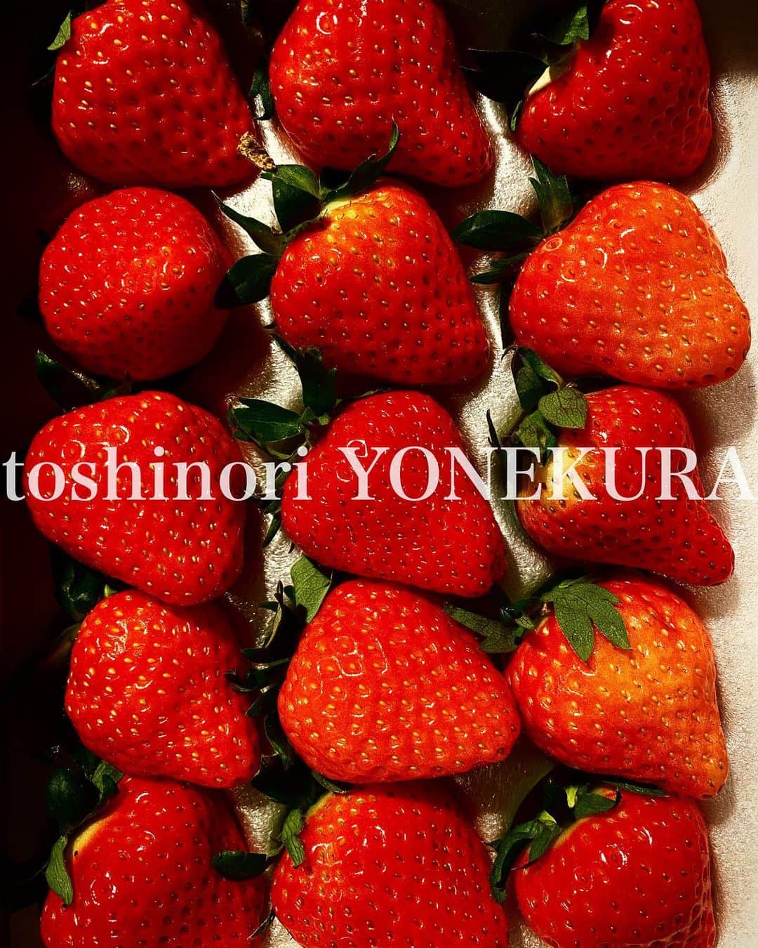 米倉利紀さんのインスタグラム写真 - (米倉利紀Instagram)「strawberries #strawberris #fresh #favorite」1月10日 0時08分 - toshi_yonekura