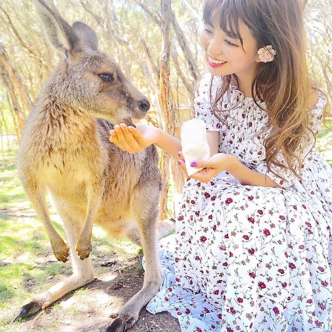 Ayakaさんのインスタグラム写真 - (AyakaInstagram)「とても悲しい気持ちです。大好きなオーストラリアの人々、動物、自然。 終わらない火災に心を痛めています。 * 簡単にできる寄付をいろいろ調べましたがPayPalですぐにできるものがあったので紹介します。 （Australia Bushfire donation PayPal とかで検索すればでてきます。） 私はAustralia Red CrossにPayPal残高を全額寄付しました。金額設定も自分でできるし、決済はとても簡単です。 * The thing is happening in Australia is truly devastating. I am respecting brave firefighters with risking their bodies and also lives to solve this absolutely devastating situation. I have donated my all PayPal balance through the website. Hope everyone will be able to think about the disasters and start to support. #bushfiresaustralia #australia #オーストラリア #寄付 #donation #donatenow」1月10日 0時39分 - ayaka_ayacandy01