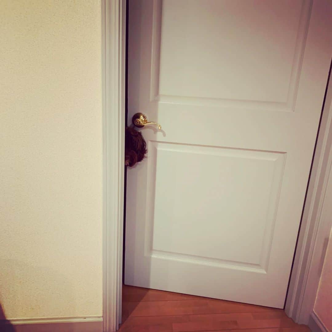 武井優心のインスタグラム：「視線感じるなと思ったら.. なんかこっち見てた👀✨ そしてそれを激写しに行く人」