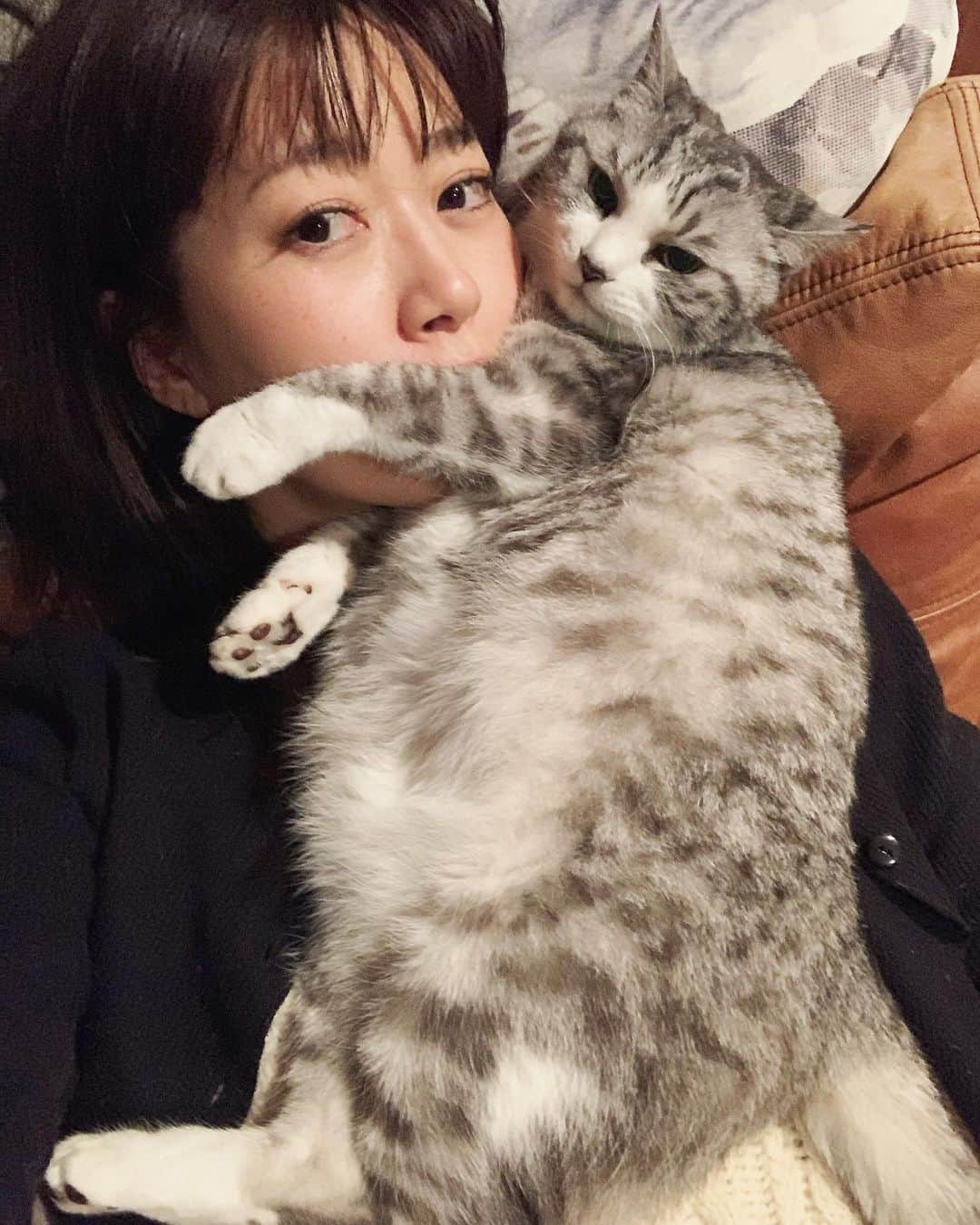 坂本美雨さんのインスタグラム写真 - (坂本美雨Instagram)「そこでくつろげるってどうなの #あまあまがとまらない #cat #サバ美 #サバムービー」1月10日 0時36分 - miu_sakamoto