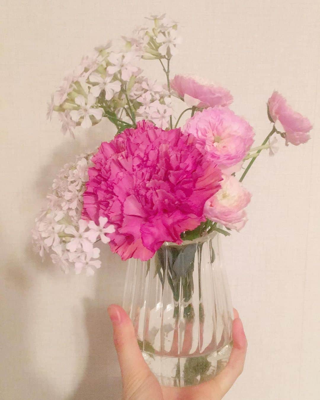 仮谷せいらのインスタグラム：「皆違って、皆いい💮 みたいな携帯のCMを最近見て(…鬼ちゃんのやつ！) 素敵なCMだなぁ…と✨ そのテーマで選びました🌷🌹🌻 私にとってはどのお花も主役やっ💐  #お花のある生活」