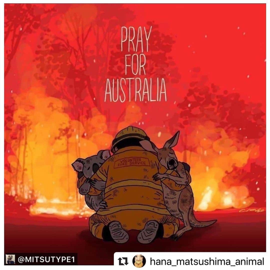 二階堂ふみさんのインスタグラム写真 - (二階堂ふみInstagram)「尊い命の為に、我々が出来ること。 私も参考にさせて頂きました。 リポストさせて頂きます。 1匹でも多くの命が、救われますように。  #Repost @hana_matsushima_animal with @make_repost ・・・ : オーストラリア在住の @mitsutype1 さんのリポストです‼️ . 皆さんもニュースなどでご存知だと思いますが… 昨年から続いているオーストラリアでの森林火災。 既に5億匹もの野生動物の命が失われたと報道されています。 . 北海道の面積くらいの広さが焼失しているそうです。 . 野生動物を助けて頂いている保護団体の募金先を日本語でもわかるように編集してシェアしてくださっています‼️‼️ . 何かしたいけど、何をしたらよいかわからない方❗️ 是非、参考にして下さい🙏 . よろしくお願いします🙏🙏🙏 . . #花アニマル #オーストラリア森林火災 #私にできること #自分にできること #拡散お願いします . . @mitsutype1 #Regram #Repost via @PackeDApp #PackeDApp オーストラリアの山火事の影響で、5億頭以上の動物達が命を落としているとの報道を見ました。 : 逃げ回るコアラの映像は見るに耐えない光景で、ニュースを観るたびに悲しくて涙がこぼれ胸が締め付けられる思いです。 : そして何もできない自分にも悲しくなりました。 : 赤十字や消防団体以外にも、苦しんでいる野生動物達の為に WIRES (Australian Wildlife Rescue Organisation、オーストラリア最大の野生生物の救助とリハビリテーションの慈善団体)が 負傷した動物達の命を助けようとしており、私たちも日本からでもスマホでここに募金をして協力することができます！ : 微力ですが、英語がわからない人でも簡単に募金ができるよう、サイトのページを訳してみました。 : https://www.wires.org.au/donate/emergency-fund : もしくは”wires donation bushfire”で検索をすると出てきます。 : 何かできることがないかな、と思っていた方には是非参考にしていただけたらと思います！ : 私も募金しました。リポスト、拡散などの協力もしていただけたら嬉しいです。 : 1匹でも多くの動物が助かりますように。そして動物達が辛い状況から一刻も早く抜け出せますように。 : #オーストラリア火災#コアラ募金#オーストラリア募金」1月10日 0時53分 - fumi_nikaido
