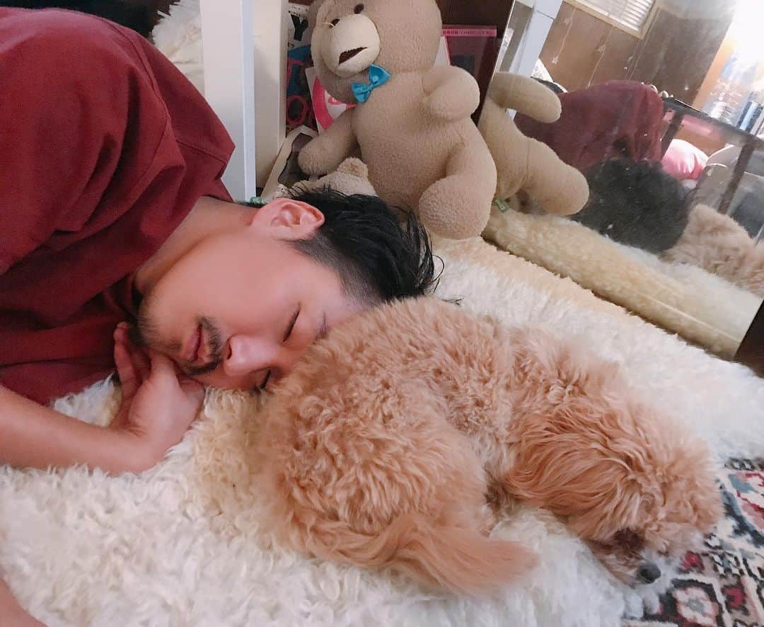 Manitasのインスタグラム：「家族サービスdayでお出かけから帰ってつかれてすぐねむた2人👦🏻🐶💤 このかわいすぎる光景でレモンサワー1杯飲めちゃたよね〜。くぅ〜。 早起きして連れててくれてありがとう。愛 #syhd #skhd #familyday #犬のいる暮らし」