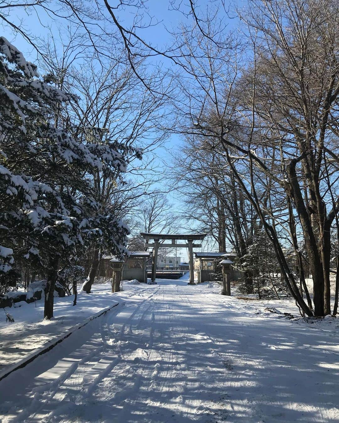 丸山敬太さんのインスタグラム写真 - (丸山敬太Instagram)「清々しい  雪は浄化  新年」1月10日 11時36分 - keitamaruyama