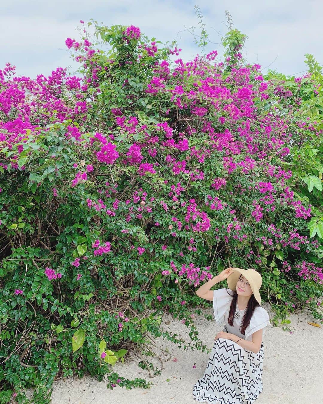大桃美代子さんのインスタグラム写真 - (大桃美代子Instagram)「南国の島へ。  ブーゲンビリアの可憐さと生命力。  詳しくはまた。  #沖縄旅行 #離島#離島振興#島グーツク」1月10日 11時59分 - miyoko_omomo
