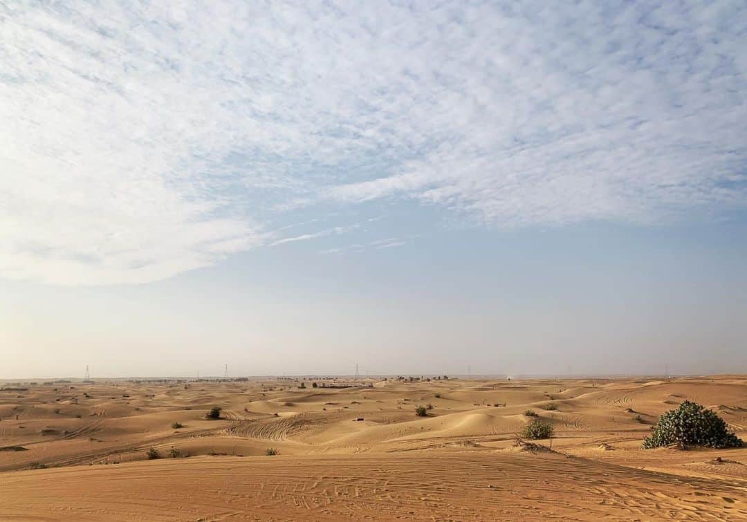 菅原紗由理のインスタグラム：「🏜」