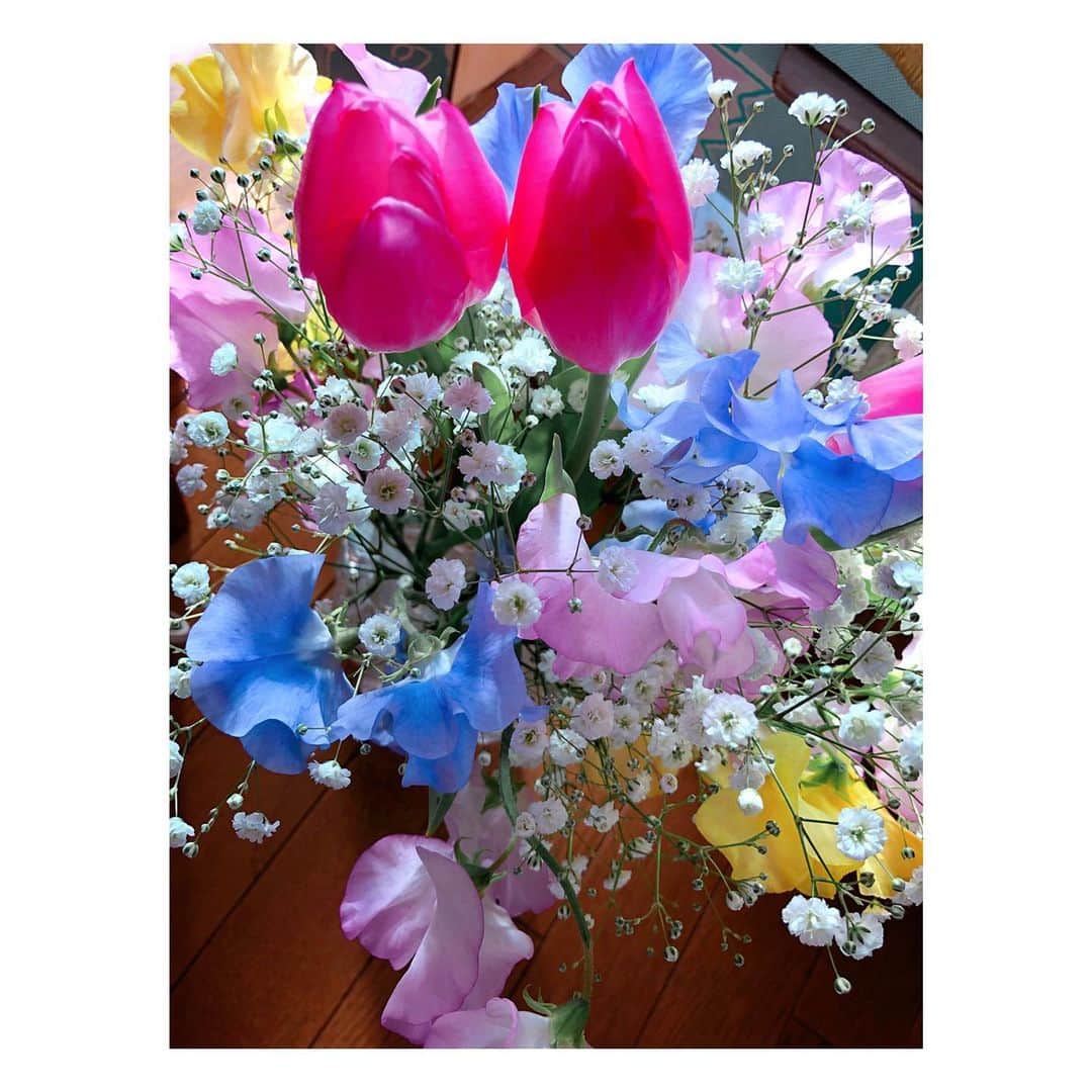 理絵さんのインスタグラム写真 - (理絵Instagram)「🌷🌷 .  #チューリップ #튤립 #tulipano #tulips  #flowers #flower #꽃 #花 #fiore #tokyo #japan」1月10日 12時15分 - ____rie____