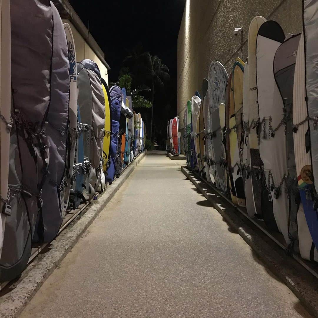 土井成樹さんのインスタグラム写真 - (土井成樹Instagram)「昨日ハワイから帰国しました。 何度来ても良いね。 良いリフレッシュ出来ました。 ハワイでは毎回お馴染みNo.8ジュエリーでターコイズバングルをゲット！ 明日から2020年シリーズ開幕！ スタートダッシュ決めます！  #hawaii #waikiki #moanasurfrider  #bltステーキ #no8jewelry  #garlicshrimp  #dragongate」1月10日 12時39分 - naruki.doi