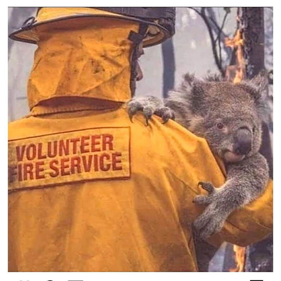 マシュー・ライアンさんのインスタグラム写真 - (マシュー・ライアンInstagram)「In light of the devastation caused by the bushfires back home, I’m donating 500 Australian dollars for every registered save by all premier league goalkeepers across every @premierleague fixture for this weekend. I’ve chosen to donate to the @wireswildliferescue emergency fund. Thank you to all for your support thus far and as a nation we really do appreciate your gratitude and generosity. However there continues to be homes lost, lives of both people and animals lost or in danger, along with whole communities, businesses and more. I hope we can continue in the same manor and continue to encourage and influence people into raising money for those affected. Other places you’re able to donate can be found in the links in their bios on Instagram or visiting their official webpages. Fingers crossed relief is on its way 🌧. @redcrossau @nswrfs @cfavic @sa_countryfireservice」1月10日 5時21分 - matyryan