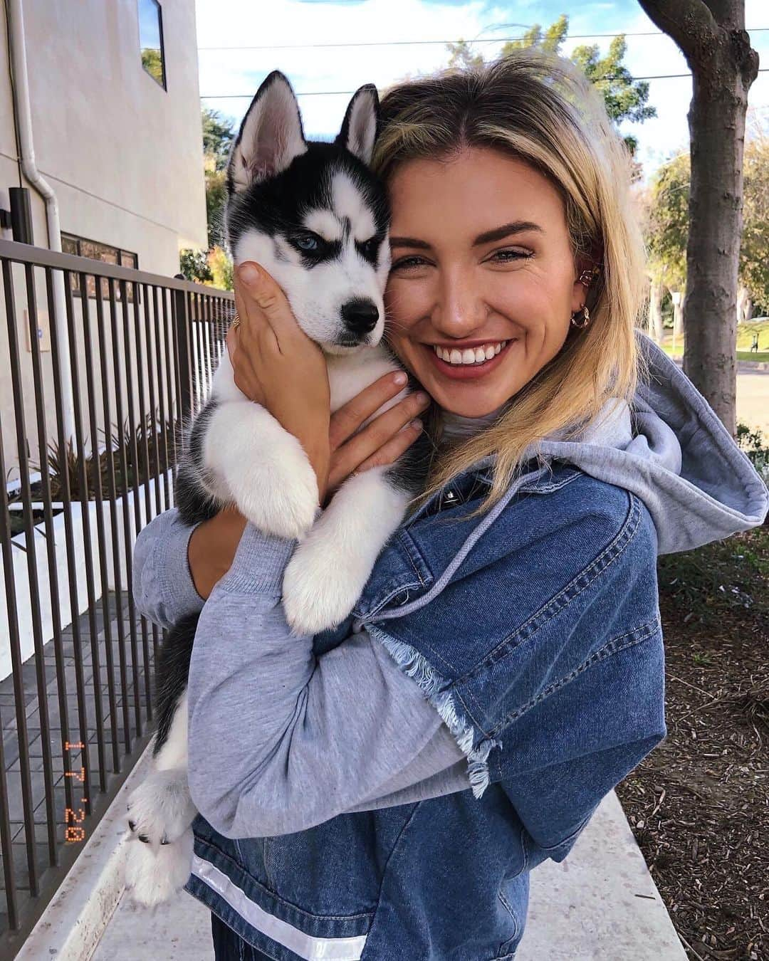 Gabrielle Grace Epsteinさんのインスタグラム写真 - (Gabrielle Grace EpsteinInstagram)「best dog names? (jacket from @fashionnova) .  #fashionnovapartner」1月10日 5時40分 - gabbyepstein