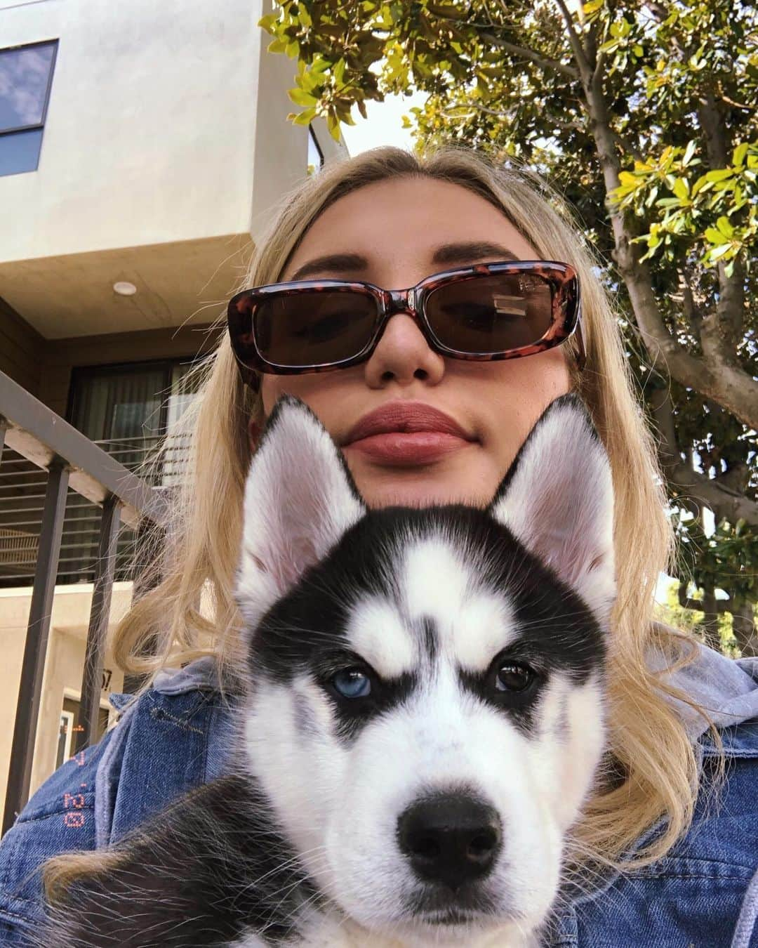 Gabrielle Grace Epsteinさんのインスタグラム写真 - (Gabrielle Grace EpsteinInstagram)「best dog names? (jacket from @fashionnova) .  #fashionnovapartner」1月10日 5時40分 - gabbyepstein