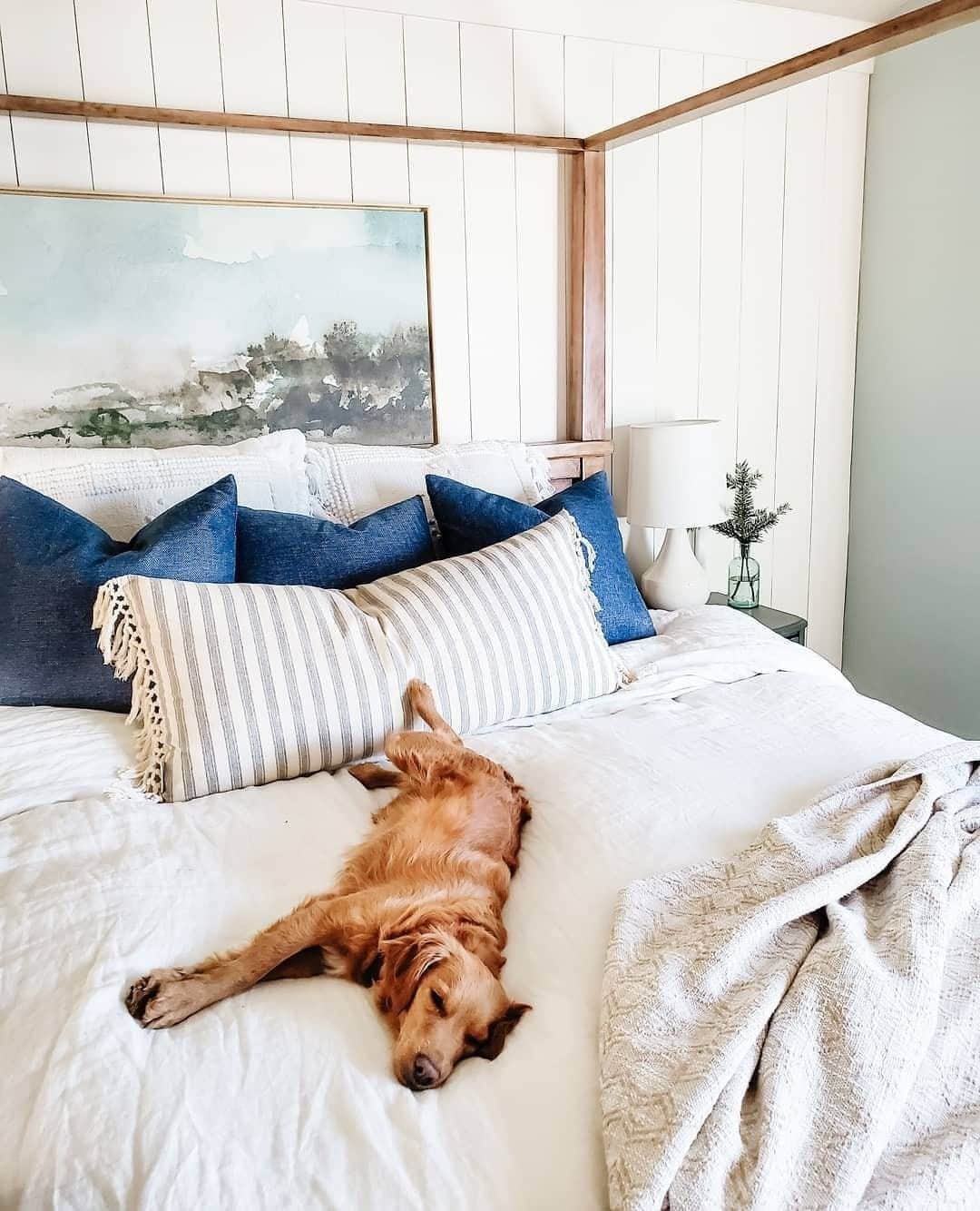 のインスタグラム：「New bedding: dog tested, dog approved 🐶 (📸: @homeofthediy) #GoFinding」