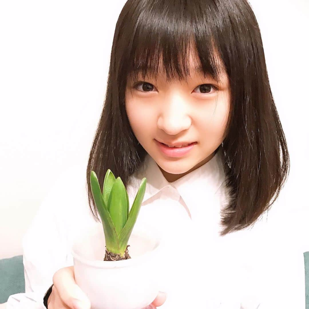 前野えまさんのインスタグラム写真 - (前野えまInstagram)「おはようございます！ ヒヤシンスの球根です🌱 水栽培。ちゃんと育つといいな。 何色のヒヤシンスが咲くのかわからないので、花が開いていくのが楽しみです！  #ヒヤシンス #水栽培 #ヒヤシンス水栽培 #花 #花のある暮らし #お花好きな人と繋がりたい  #前野えま  #hiyashinsu #aquaculture #flower #flowerstagram #flowerlovers  #follow #followme #instagram #instafollow #instagood #tagsforlikes #tflers #tagsforlikesapp #idol #actor #actress」1月10日 7時11分 - maeno_ema