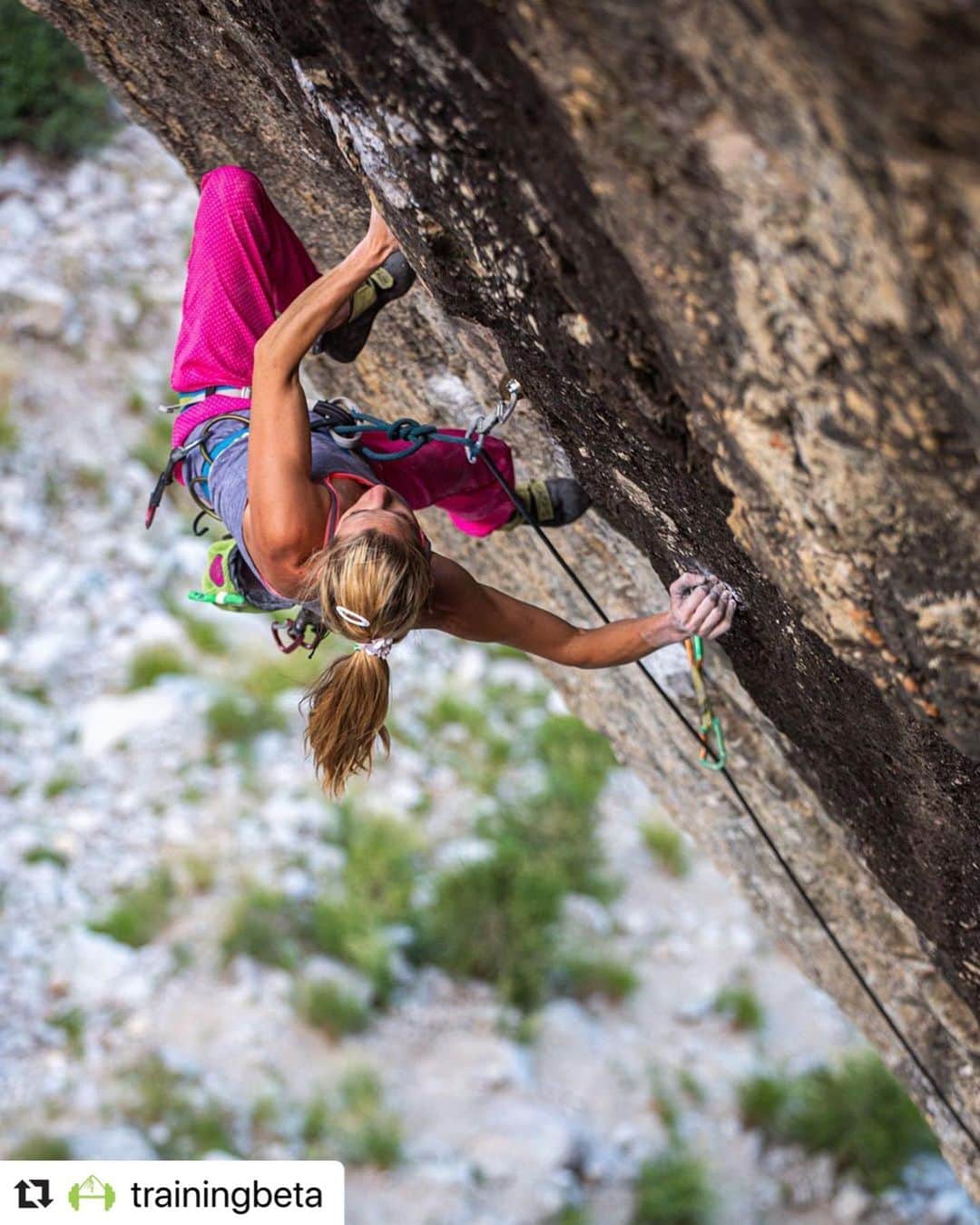 マヤ・ヴィドマーのインスタグラム：「#repost from @trainingbeta  Nice photo by @javipec reminds me on beautiful rock climbing days, with great company @anzestremfelj @patxiusobiaga_pucseries @javipec @mikelinacisoro and #roxythelegend ☀️😎 . 📸 by @javipec . #tbt #summer2015 #moredayslikethis #france🇫🇷 #climbing #rockclimbing #rockclimbinglife . @fa_climb @scarpaspa @camp1889」