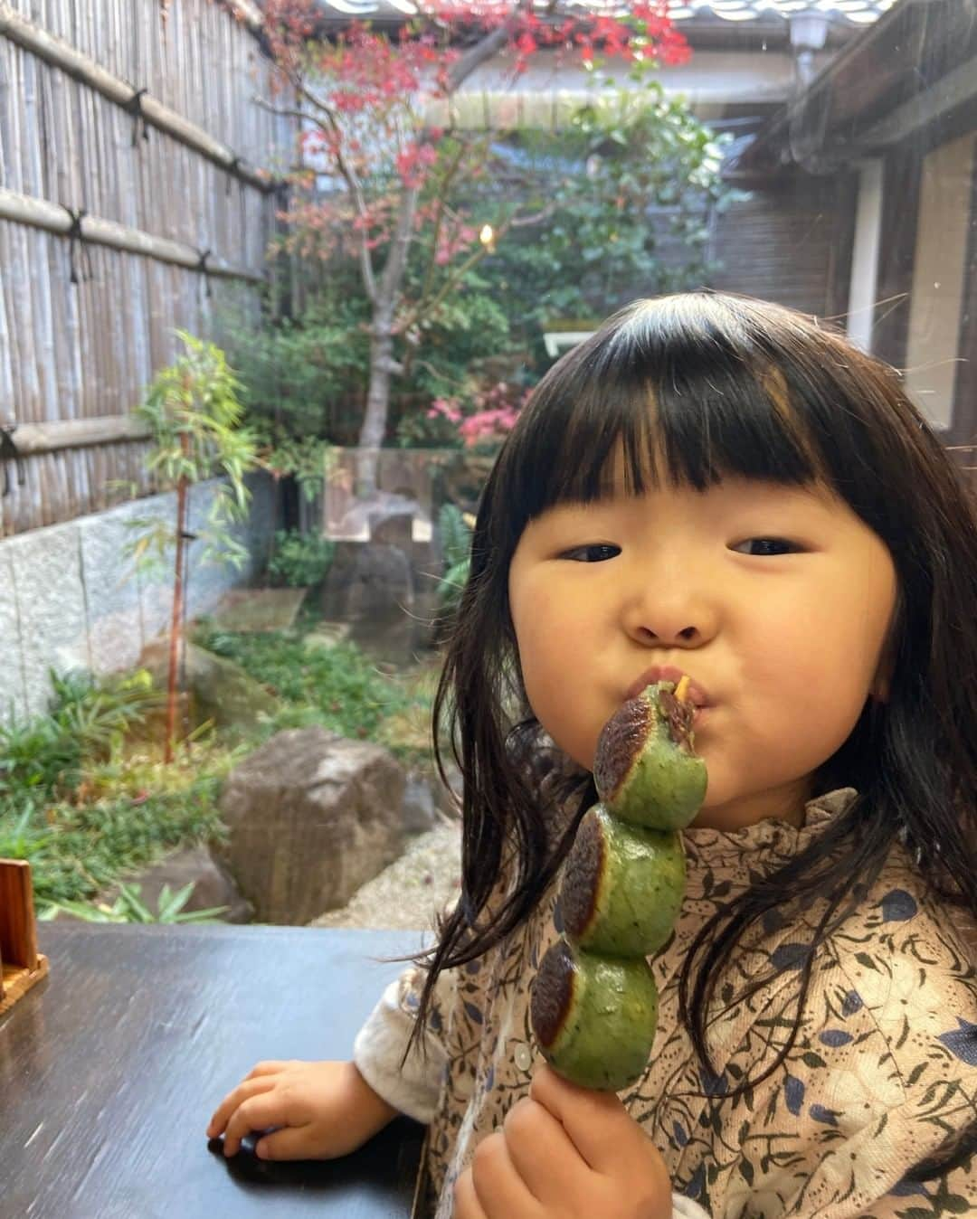 近藤麻理恵さんのインスタグラム写真 - (近藤麻理恵Instagram)「Japanese dango, yum! 🍡」1月10日 7時10分 - mariekondo