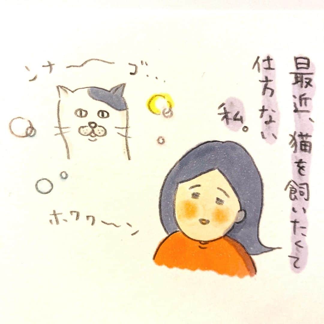 うえだしろこのインスタグラム