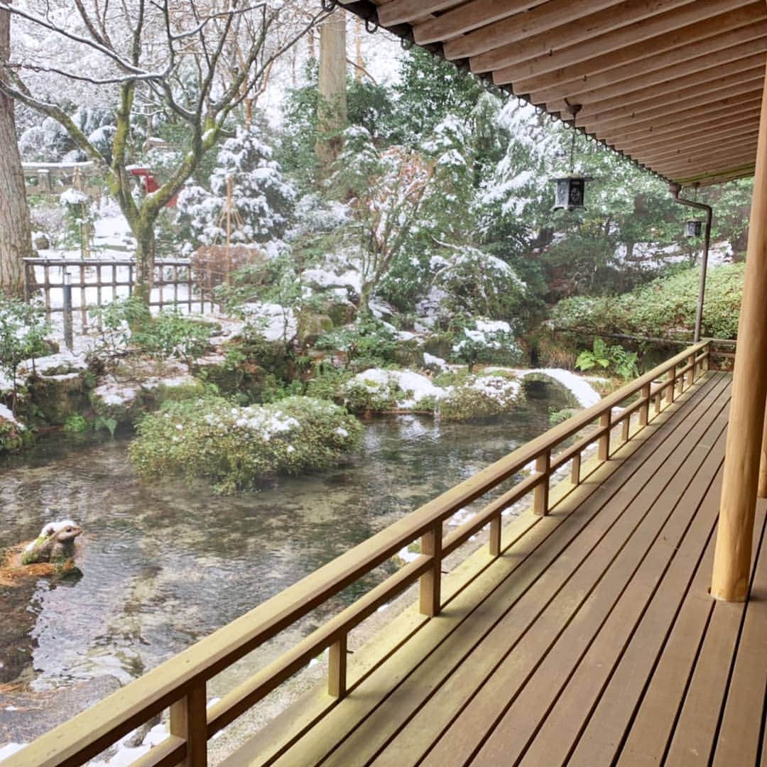三喜本惠美さんのインスタグラム写真 - (三喜本惠美Instagram)「・ 新潟での温泉旅行では最終日の朝に雪を見せてあげる事が出来ました☃️ はじめての雪に不思議そうな娘の姿はビデオにバッチリ👍 #はじめての雪」1月10日 11時11分 - megumi_mikimoto