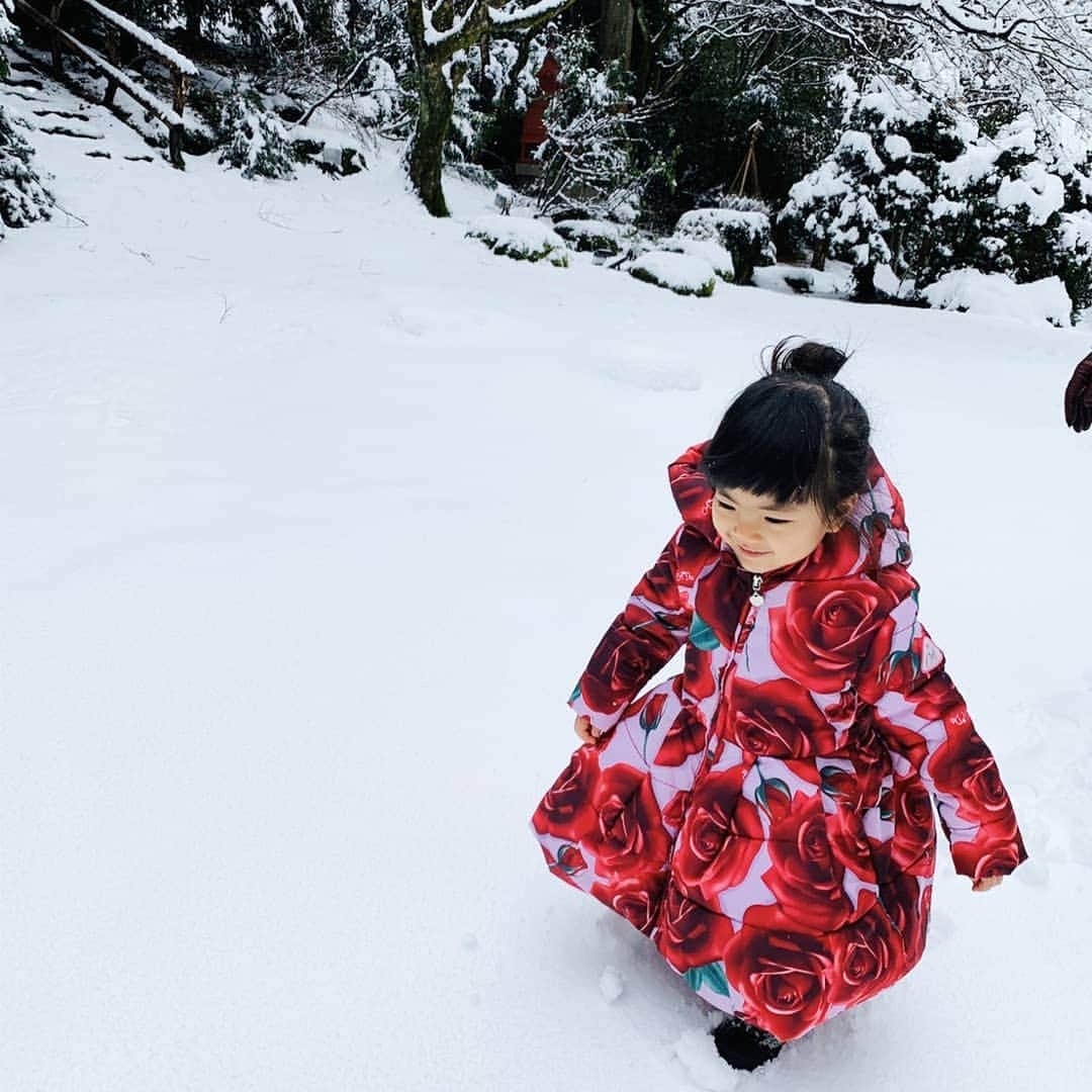 三喜本惠美さんのインスタグラム写真 - (三喜本惠美Instagram)「・ 新潟での温泉旅行では最終日の朝に雪を見せてあげる事が出来ました☃️ はじめての雪に不思議そうな娘の姿はビデオにバッチリ👍 #はじめての雪」1月10日 11時11分 - megumi_mikimoto
